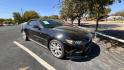 2015 Black Ford Mustang EcoBoost Premium Convertible (1FATP8UH0F5) with an 2.3L L4 DOHC 16V engine, located at 945 E. Jefferson Blvd, Dallas, TX, 75203, (214) 943-7777, 32.752514, -96.811630 - Photo#2